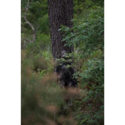 VESTE FEMME CHASSE SILENCIEUSE RESPIRANTE CAMOUFLAGE 500 -Plein Air Camping Magasin veste femme chasse silencieuse respirante camouflage 500 5